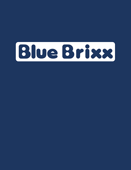 Der Blue Brixx Store sucht Verstärkung (Verkäufer)